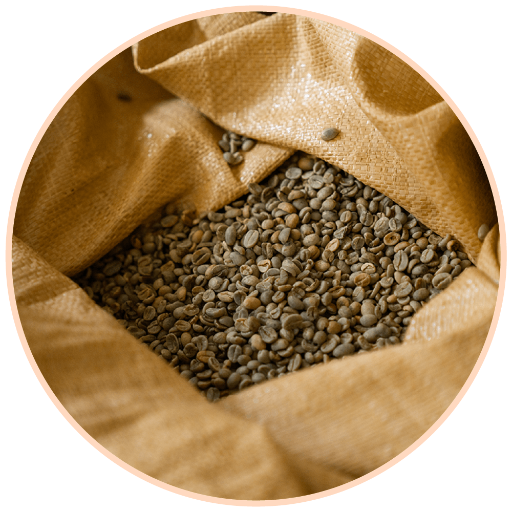 El Salvador: Tour del Café